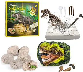 Dinosaur Dig Kit from National Geographic